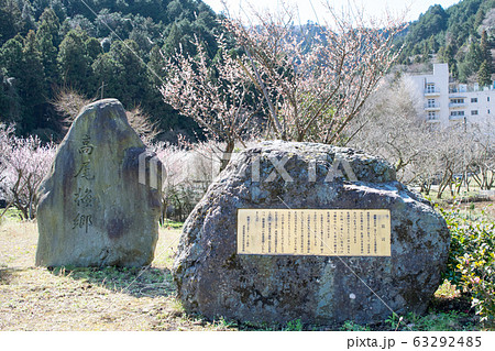 東京都 八王子市 高尾梅郷 高尾梅の郷まちの広場 東京都 八王子市 高尾梅郷 高尾梅の郷まちの広場 63292485