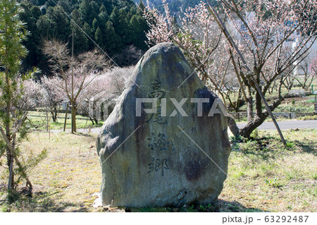 東京都 八王子市 高尾梅郷 高尾梅の郷まちの広場 東京都 八王子市 高尾梅郷 高尾梅の郷まちの広場 63292487