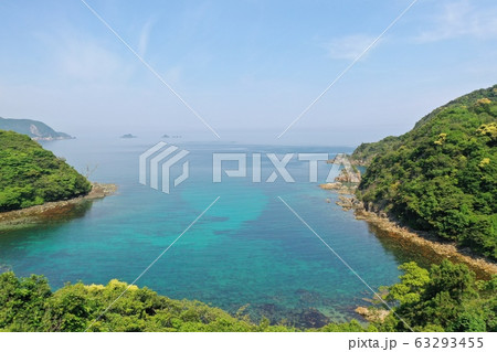 北長門海岸の春 63293455