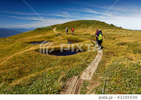 草紅葉の巻機山稜線を行く登山者 63295030