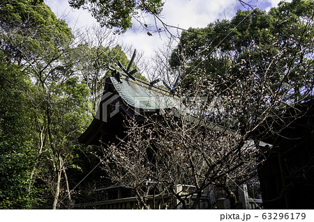 牛窓　牛窓天神社　本殿　岡山県瀬戸内市 63296179