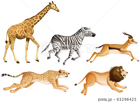 Set Of Safari Animals On White Backgroundのイラスト素材