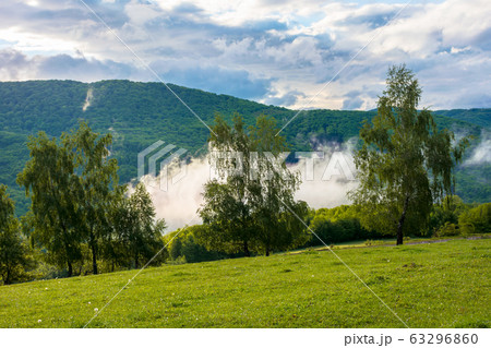 clouds and fog rising above the beech forest. 63296860