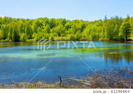 landscape by the mountain lake among coniferous 63296864