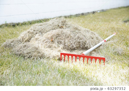 枯芝　サッチング 63297352