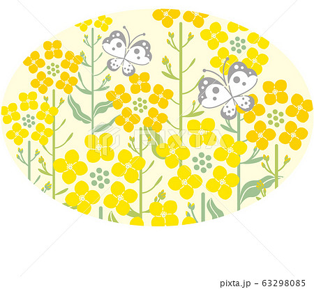 菜の花　蝶　黄色背景　楕円形　イラスト 63298085