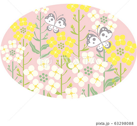 菜の花 蝶 ピンク色背景 楕円形 イラスト 菜の花 蝶 ピンク色背景 楕円形 イラスト 63298088
