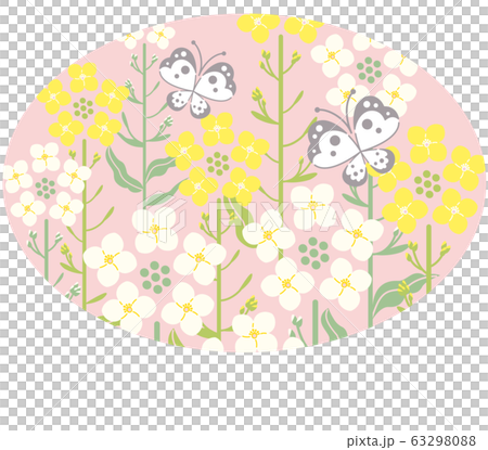 菜の花 蝶 ピンク色背景 楕円形 イラスト 菜の花 蝶 ピンク色背景 楕円形 イラスト 63298088