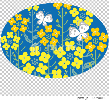 菜の花　蝶　紺色背景　楕円形　イラスト 63298090