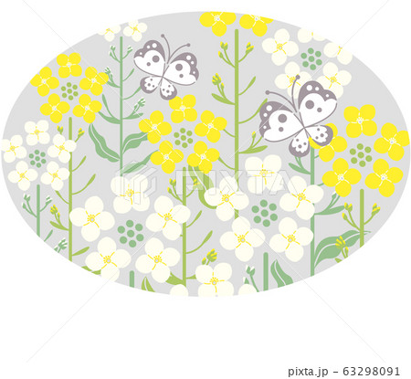 菜の花　蝶　グレー背景　楕円形　イラスト 63298091