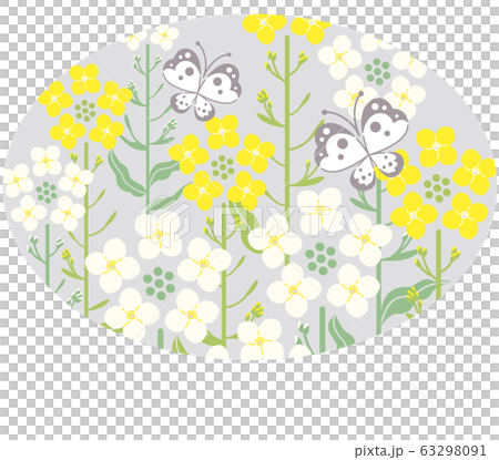 菜の花　蝶　グレー背景　楕円形　イラスト 63298091