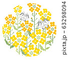 菜の花　蝶　白色背景　円形　イラスト 63298094
