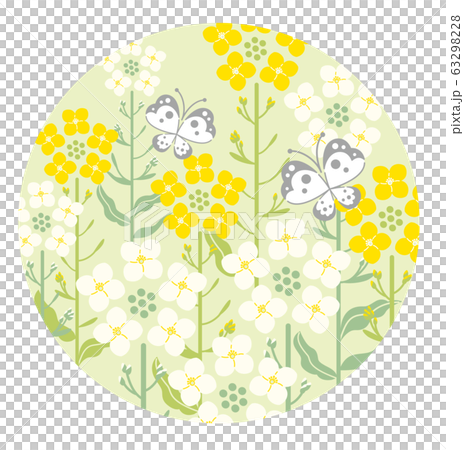 強姦開花蝴蝶綠色背景圓形插圖 63298228