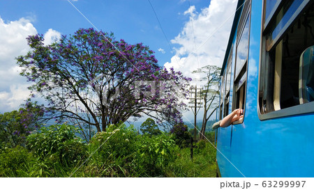 Passenger train with tourists rides through the Passenger train with tourists rides through the 63299997