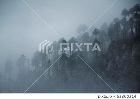 ヒマラヤ山脈 63300314