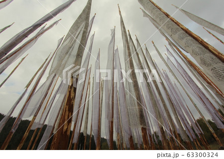 タルシン タルシン 63300324