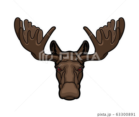 Elk or moose animal head with antlers 63300891