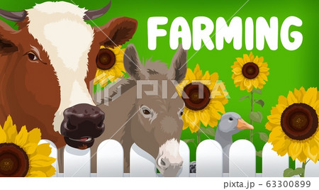 Farm cow, goose and donkey animals 63300899