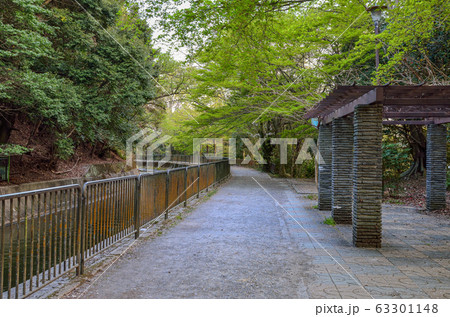 京都の山科疏水 63301148