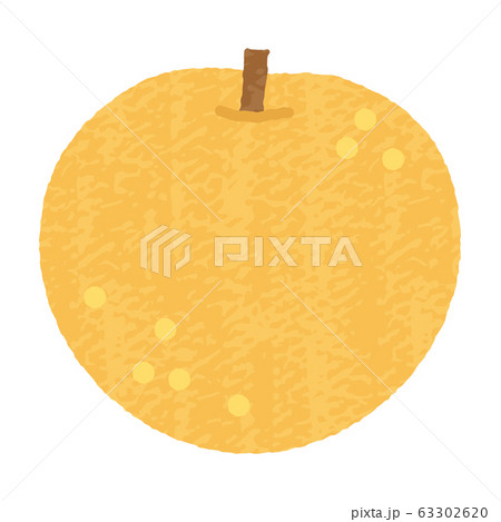 手描き風かわいい和梨のイラスト素材 63302620 Pixta