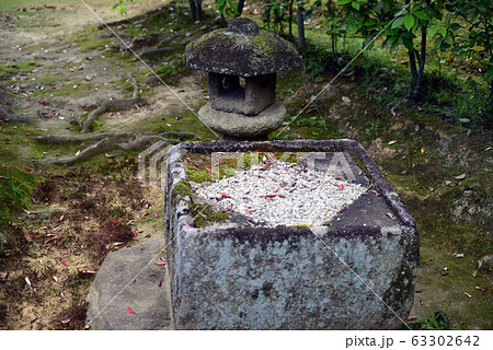 桂離宮外腰掛の二重桝形手水鉢 63302642