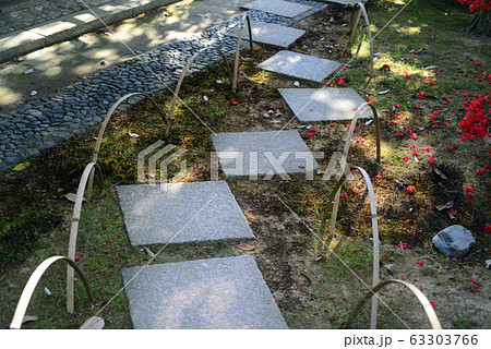 桂離宮園園林堂の飛石-1 63303766