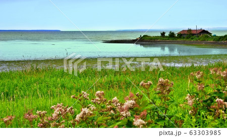 サロマ湖畔 63303985