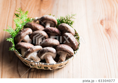 椎茸 椎茸 63304077
