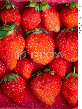 オーガニックのいちご 、箱入りイチゴ、 苺、 63304543