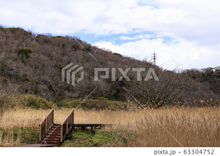 湿原 63304752