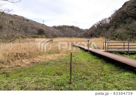湿原 63304759