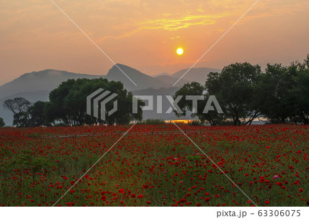 風景 日の出 ケシ 63306075
