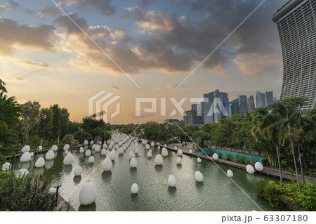 Dragonfly lake in Singapore Dragonfly lake in Singapore 63307180