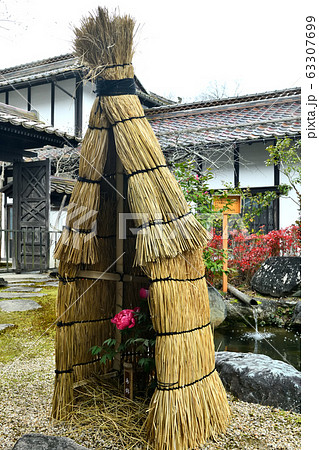 広島県備北丘陵公園の冬ボタン 63307699