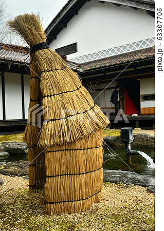 広島県備北丘陵公園の冬ボタン 63307706
