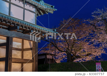 夜桜と弘前城　亀甲門　ライトアップ 63307737