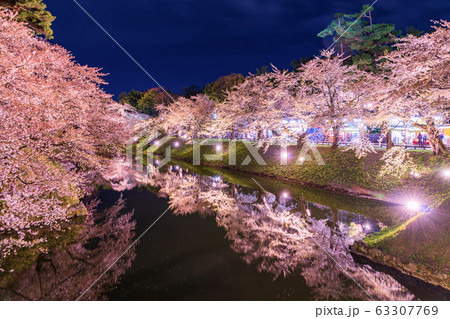 弘前城の桜　杉の大橋からの風景　ライトアップ 63307769