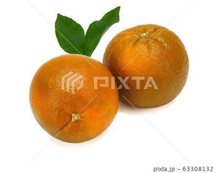 Fresh extra sweet Chocolate oranges, close-up 63308132