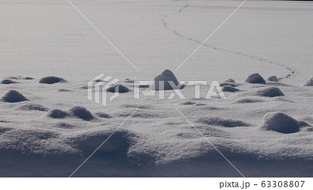北海道美瑛町　雪景色 63308807