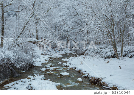山梨県一ノ瀬　柳沢川　雪景 63310044