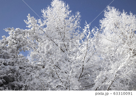 自然 背景 風景 63310091
