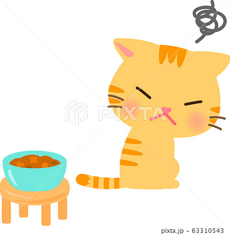 キャットフードが気に入らない猫 キャットフードが気に入らない猫 63310543