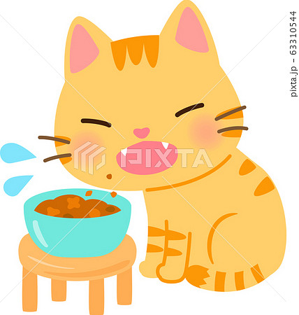 キャットフードを食べる猫	 63310544