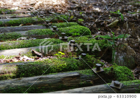越後妻有 越後妻有 63310900