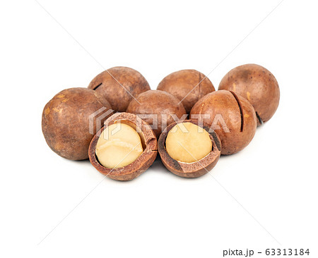 Macadamia nut isolated Macadamia nut isolated 63313184