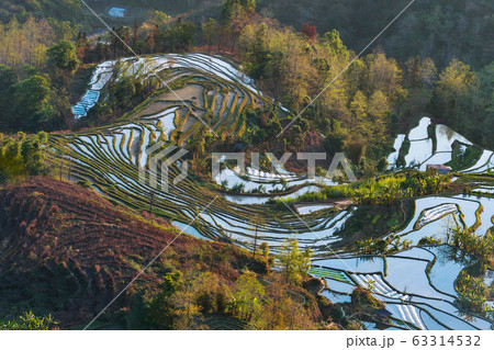 Terraced rice fields of YuanYang , China in the 63314532