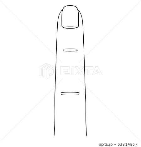 【人体イラストシリーズ】指(表) 【人体イラストシリーズ】指(表) 63314857