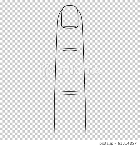 【人体イラストシリーズ】指(表) 【人体イラストシリーズ】指(表) 63314857