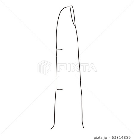 【人体イラストシリーズ】指(横) 63314859