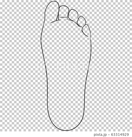 [人體插圖系列]腳（腳底） 63314929